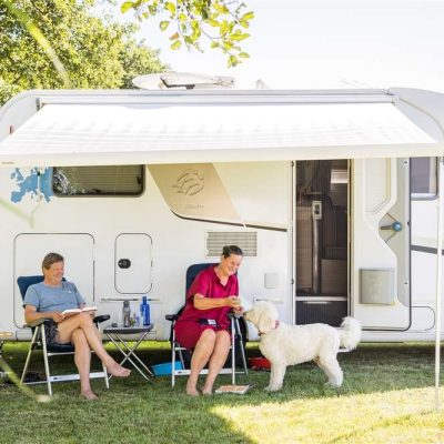 Honden aangelijnd op de camping